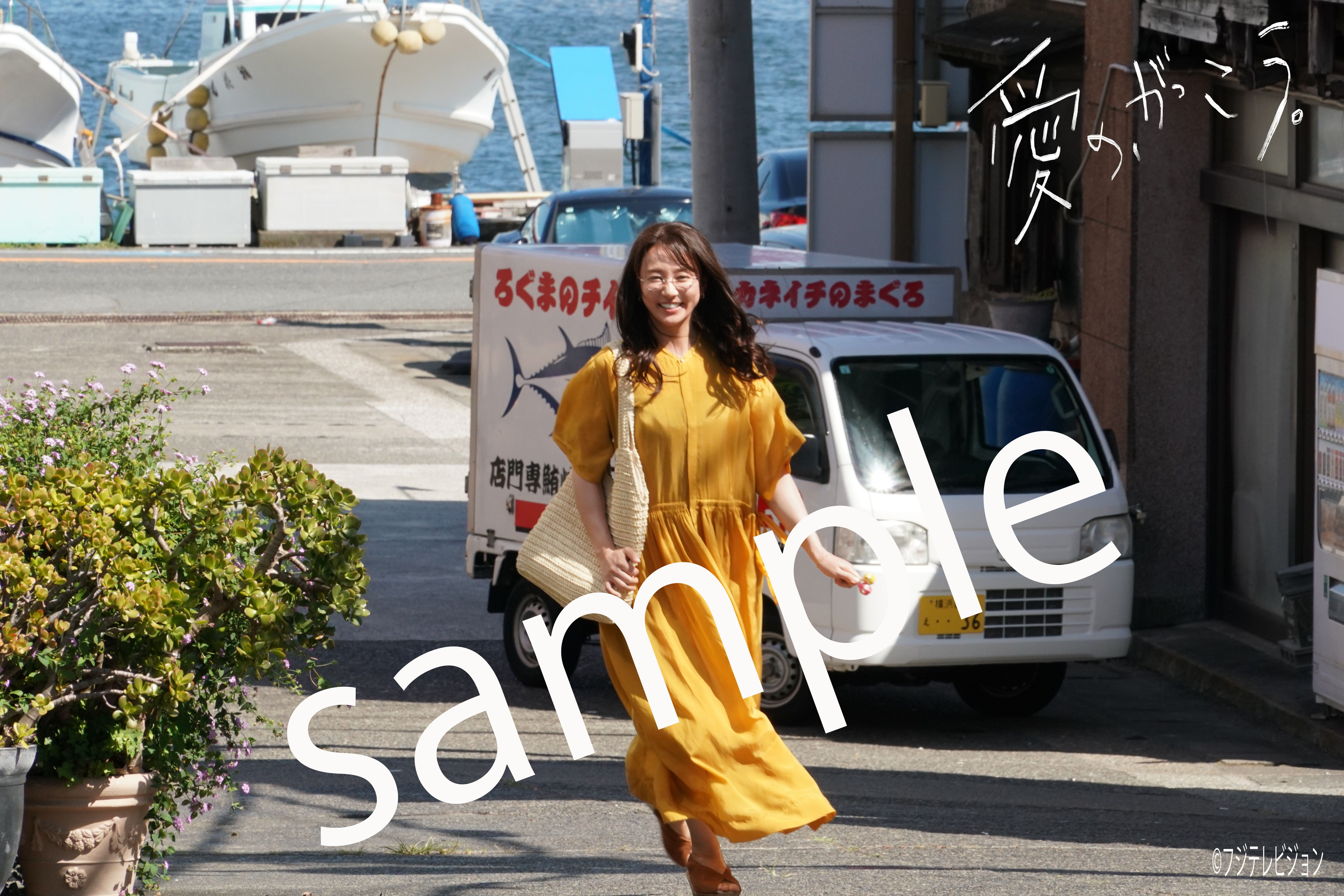 ドラマ『愛の、がっこう。』DVD BOX