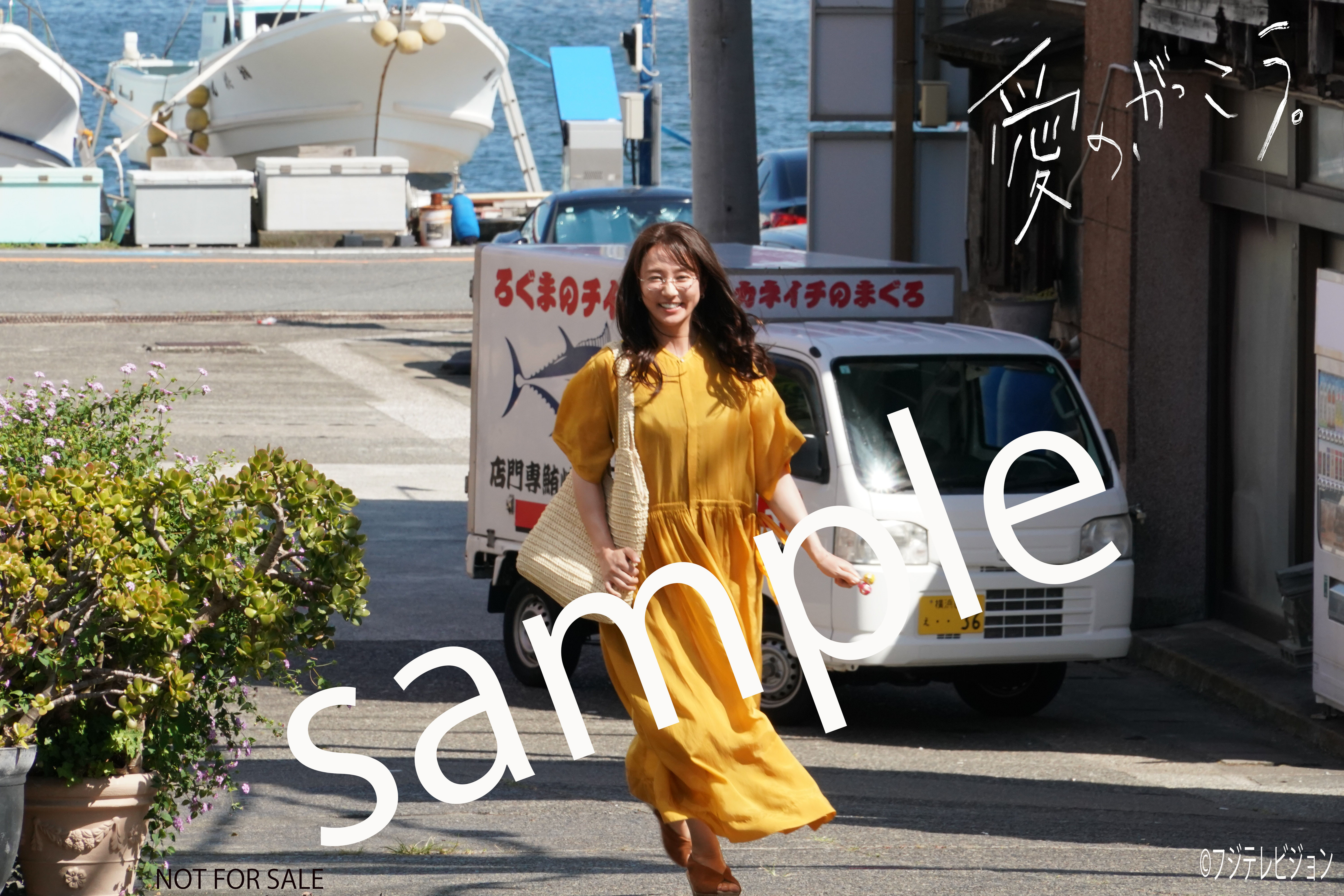 ドラマ『愛の、がっこう。』Blu-ray BOX | 木村 文乃 | 木村文乃